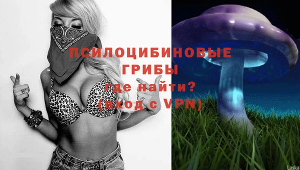 соль ск Бронницы