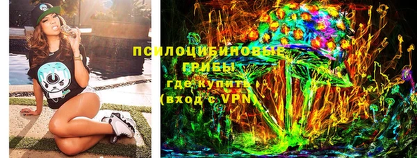 соль ск Бронницы