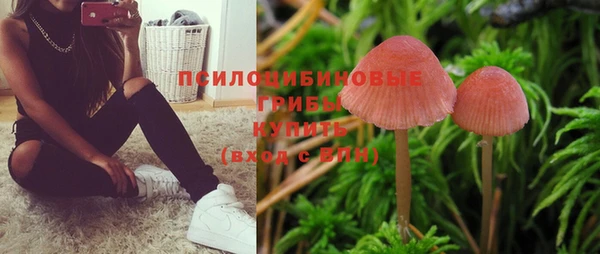 соль ск Бронницы